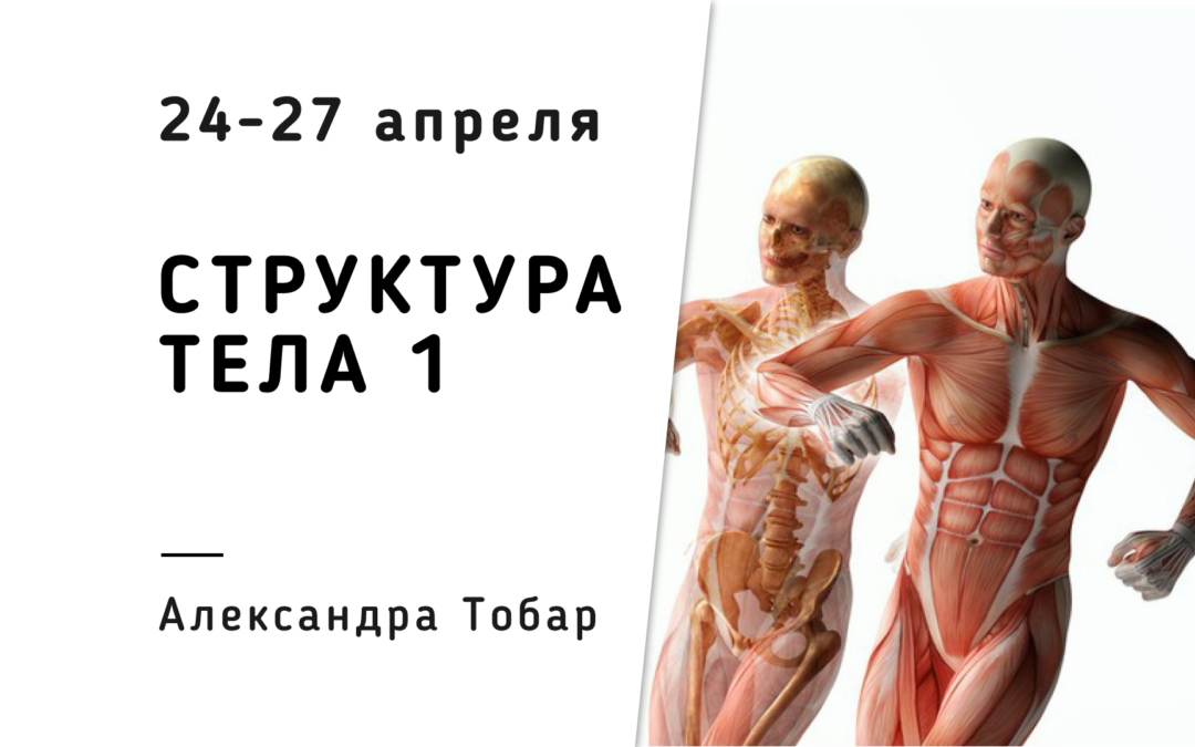 NK/ Голограмма структуры тела 1/ Alexandra Tobar