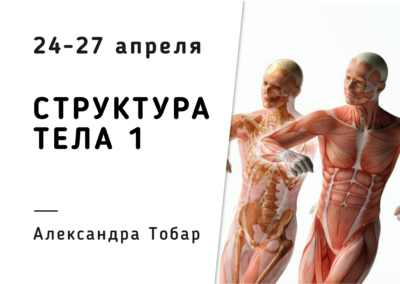 NK/ Голограмма структуры тела 1/ Alexandra Tobar