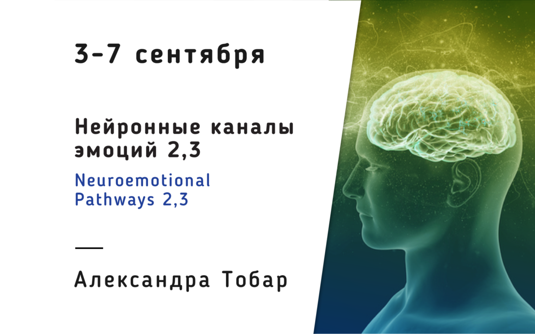 NEPS 2,3