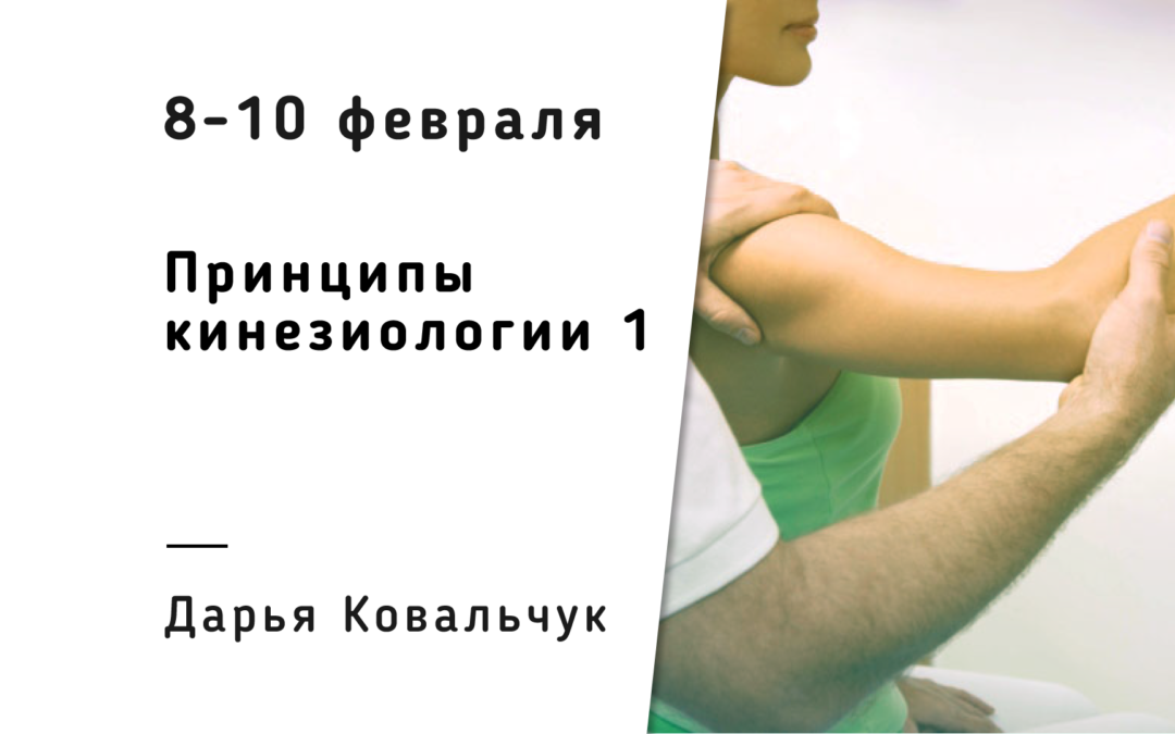 Принципы Кинезиологии — 1/ Международная программа