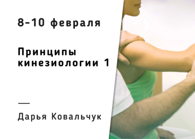 Принципы Кинезиологии — 1/ Международная программа